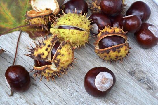 Horse chestnut for back pain