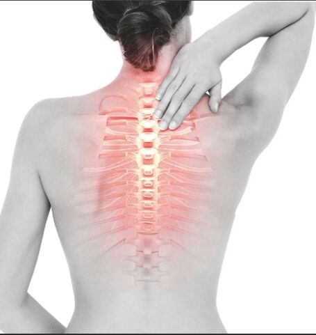 Bone fiber of the chest area