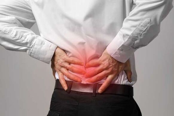 Bone fiber of the lumbar