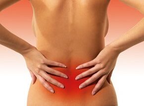 The cause of Spys is on the lower back
